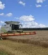 Зернозбиральний комбайн Claas Lexion 600, 2006 р.в, 4243 м/год, б/в - 2
