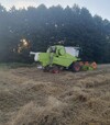 Зернозбиральний комбайн Claas Avero 240, 2017 р.в, 500 м/год, б/в - 2