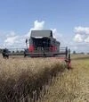 Зернозбиральний комбайн Massey Ferguson 7345 Activa, 2016 р.в, 1300 м/год, б/в - 2