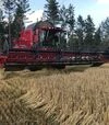 Зернозбиральний комбайн Case IH 9010, 2008 р.в, 2015 м/год, б/в - 1