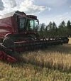Зернозбиральний комбайн Case IH 9010, 2008 р.в, 2015 м/год, б/в - 2