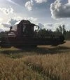 Зернозбиральний комбайн Case IH 9010, 2008 р.в, 2015 м/год, б/в - 3