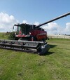 Зернозбиральний комбайн Massey Ferguson 9380 Delta HYBRID, 2017 р.в, 1800 м/год, б/в - 2
