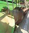 Жатка зерновая John Deere 922F Flex, 2000 г.в, б/у - 5