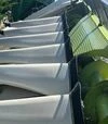 Жниварка кукурудзяна Claas Conspeed Corio 870C, 2022 р.в, б/в - 3