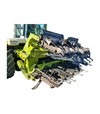 Жниварка кукурудзяна Claas Conspeed 8-70, 2011 р.в., б/в - 1