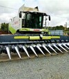 Жниварка кукурудзяна безрядкова Mainero MDD-200 16, 2024 р.в - 11