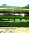 Жниварка соняшникова Claas Sunspeed 14-70 гідравлічна, 2024 р.в. - 7