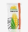 Кукурудза РАМ 8149, п.о. 80 тис. насінин (Степова) - 2