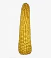 Кукурудза РАМ 8663, п.о. 80 тис. насінин (Степова) - 2