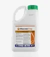 Протравитель Максим Стар 025, 5 л (Syngenta) - 1