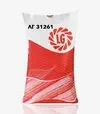 Кукурудза ЛГ31261, п.о. 50 тис. насінин (LG) - 2