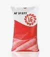 Кукурудза ЛГ31377, п.о. 50 тис. насінин (LG) - 1