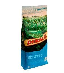 Кукурудза ДКС 3795, п.о. 80 тис. насінин (Dekalb)