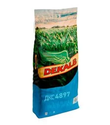 Кукуруза DKC4897, п.е. 80 тыс. семян (Dekalb)