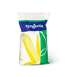 Кукурудза СИ Амфора, п.о. 80 тис. насінин (Syngenta)
