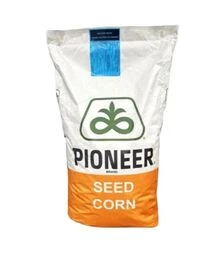 Кукуруза P8904 (Pioneer)