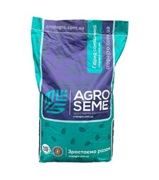 Соняшник Флеш (AGRO SEME)