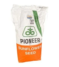 Подсолнечник P64HP630, п.о. 150 тыс. семян (Pioneer)