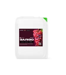 Мікродобриво Еколайн Залізо (Хелат), 20 л (Ecoorganic)