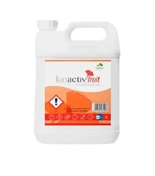 Біостимулятор Кінактив Фрут, 5 л (Sumi Agro)