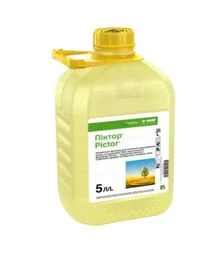 Фунгіцид Піктор Топ, 5 л (Basf)