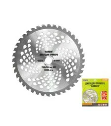 Диск для тримера MASTERTOOL GARDEN 255х25,4, 40Т з побідитовою напайкою (19-2000)