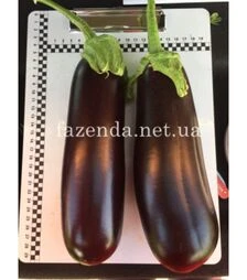 Насіння баклажана Миринда F1, п.о. 1 тис. насінин (Spark Seeds)