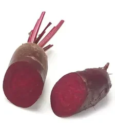 Семена свеклы Ломако, п.е. 100 тыс. семян, 2,75-3,5 калибр (Rijk Zwaan)
