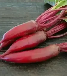 Насіння буряка Алексіс, 1 кг (Moravoseed)