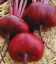 Семена свеклы Египос, 500 г (Hortus)