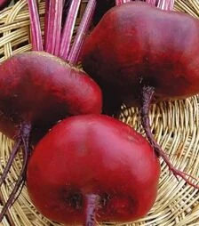 Семена свеклы Египос, 5 кг (Hortus)