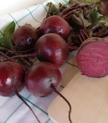 Насіння буряка Моніка, 1 кг (Moravoseed)