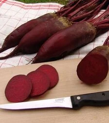 Насіння буряка Монорубра, 1 кг (Moravoseed)