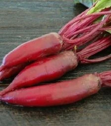 Насіння буряка Алексіс, 10 кг (Moravoseed)