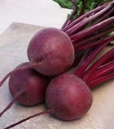 Насіння буряка Привілей F1, п.о. 25 тис.насінин 3,2-4,0 калібр (Cora Seeds)