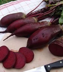 Насіння буряка Ренова, 10 кг (Moravoseed)