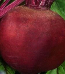 Семена свеклы Бычая кровь, 3 г (Семена Украины)