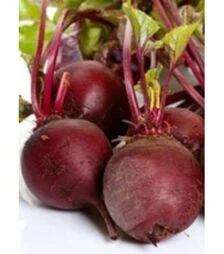 Семена свеклы Боливар, 250 г (Leda Seeds)