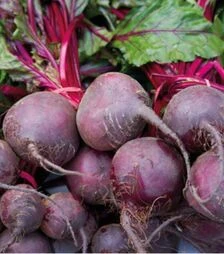Насіння буряка Детройт Дарк Ред, 25 г (Innova Seeds)