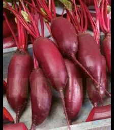 Семена свеклы Монорубра, 100 г (Moravo Seed)