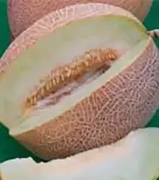 Насіння дині Ананас, 500 г (Hortus)