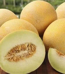 Семена дыни Галанет F1, п.е. 1 тыс. семян (United Genetics)