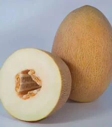 Насіння дині Кубус F1 (KS 6188), п.о. 1 тис. насінин (Kitano Seeds)