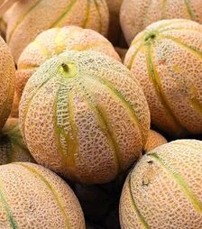 Насіння дині Каро F1 (INX 1244), п.о. 1 тис. насінин (Innova Seeds)