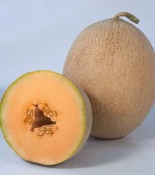 Насіння дині Трібека F1 (КС 6147 F1), п.о. 100 насінин (Kitano Seeds)