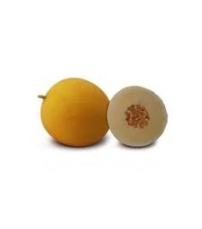 Семена дыни Шинари F1 (КС 7066 F1), п.о. 100 семян (Kitano Seeds)