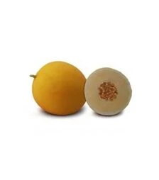 Семена дыни Шинари F1 (КС 7066 F1), п.о. 1 тыс. семян (Kitano Seeds)