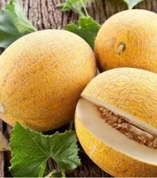Семена дыни Баллу, п.о. 1 тыс. семян (MRT Seeds)