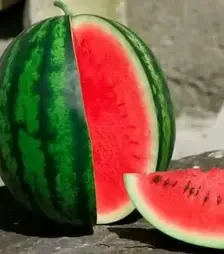 Семена арбуза Дата F1, п.е. 1 тыс. семян (Lark Seeds)